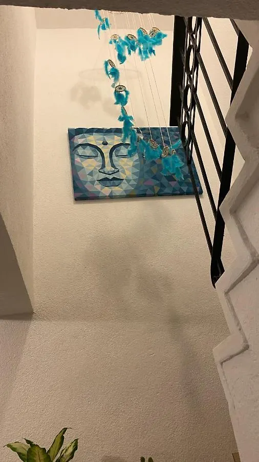 Flower Of Life Cancún Mexico